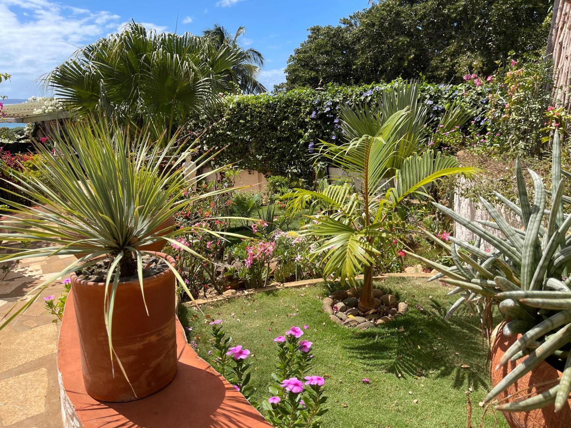 Le Jardin Exotique Hotel Antsiranana Exterior foto